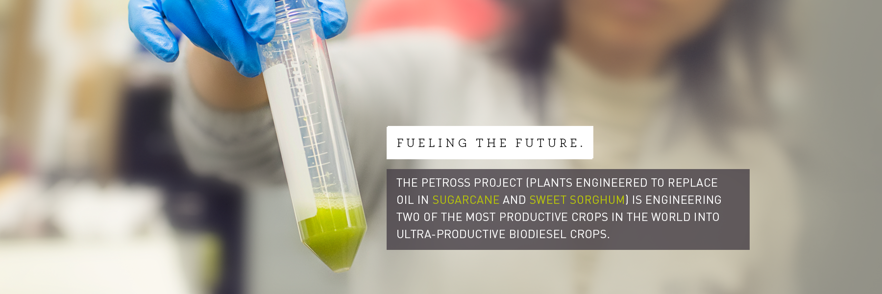 PETROSS team member holds vial of bio-oil.