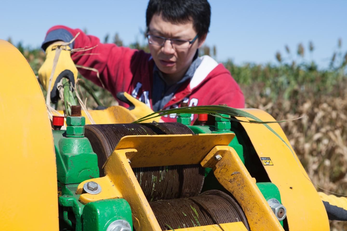 Haibo Huang extracting oil from plants.