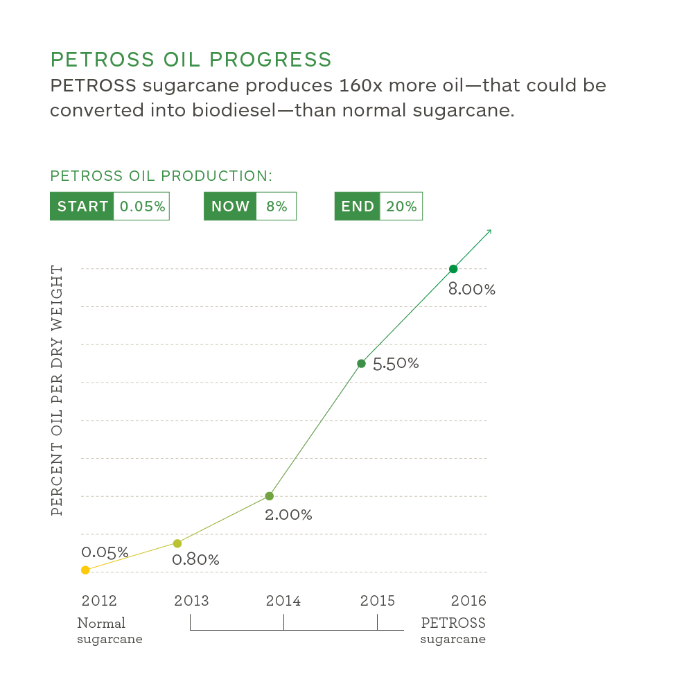 Graph Oil Progress