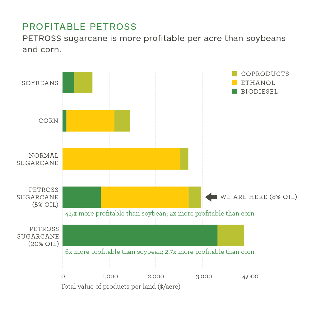 Graph Progress Chart